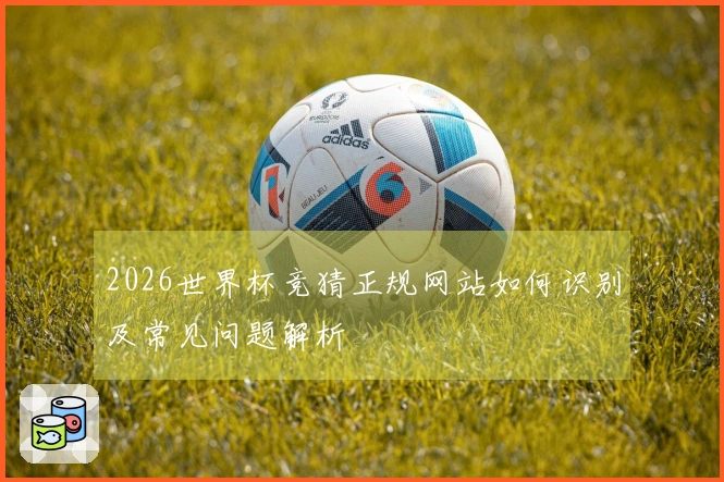 2026世界杯竞猜正规网站如何识别及常见问题解析
