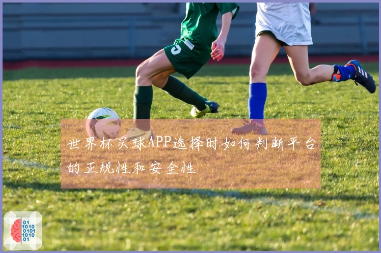 世界杯买球APP选择时如何判断平台的正规性和安全性