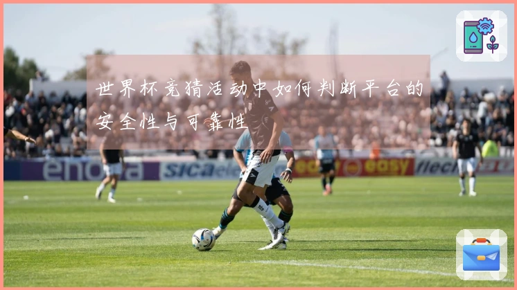 世界杯竞猜活动中如何判断平台的安全性与可靠性