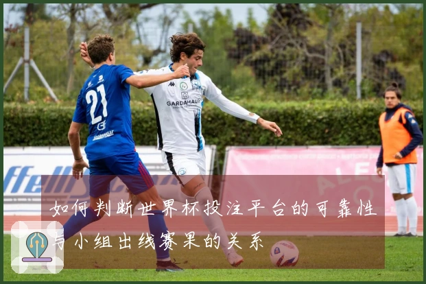 如何判断世界杯投注平台的可靠性与小组出线赛果的关系