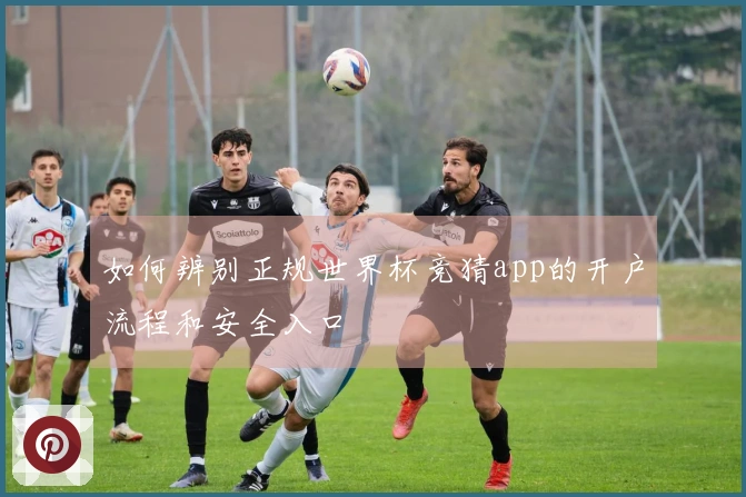 如何辨别正规世界杯竞猜app的开户流程和安全入口